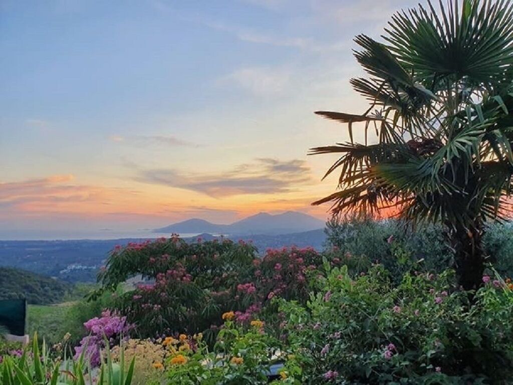 A garden with various plants and flowers, a palm tree, and a view of distant mountains during sunset.