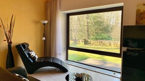 Smart TV, fireplace, books