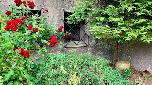 Villa Warzenburg, apartment 1 with panoramic mountain view and terrace. Vacation with a dog.