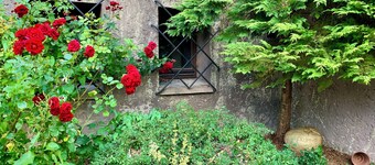 Villa Warzenburg, apartment 1 with panoramic mountain view and terrace. Vacation with a dog.