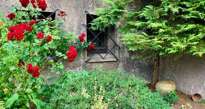 Villa Warzenburg, apartment 1 with panoramic mountain view and terrace. Vacation with a dog.