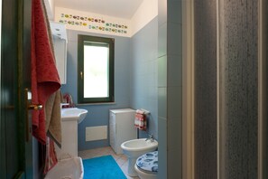 Shower, hair dryer, bidet, towels
