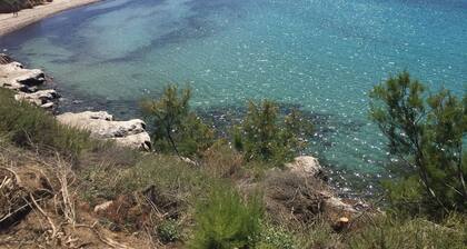 Villa Beach 'Le Saline' 9 people