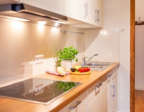 Kühlschrank, Herdplatte, Geschirrspüler