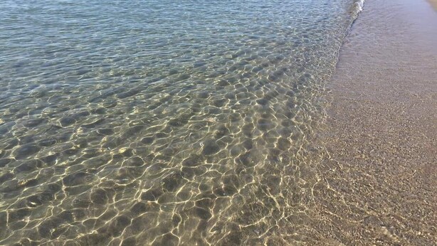 A beach with clear shallow waters and a sandy shore.