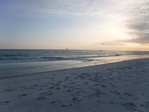 A beach with footprints in the sand and birds flying over the water.