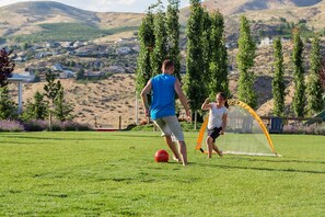 Een grasveld met een voetbalkooi en een net.