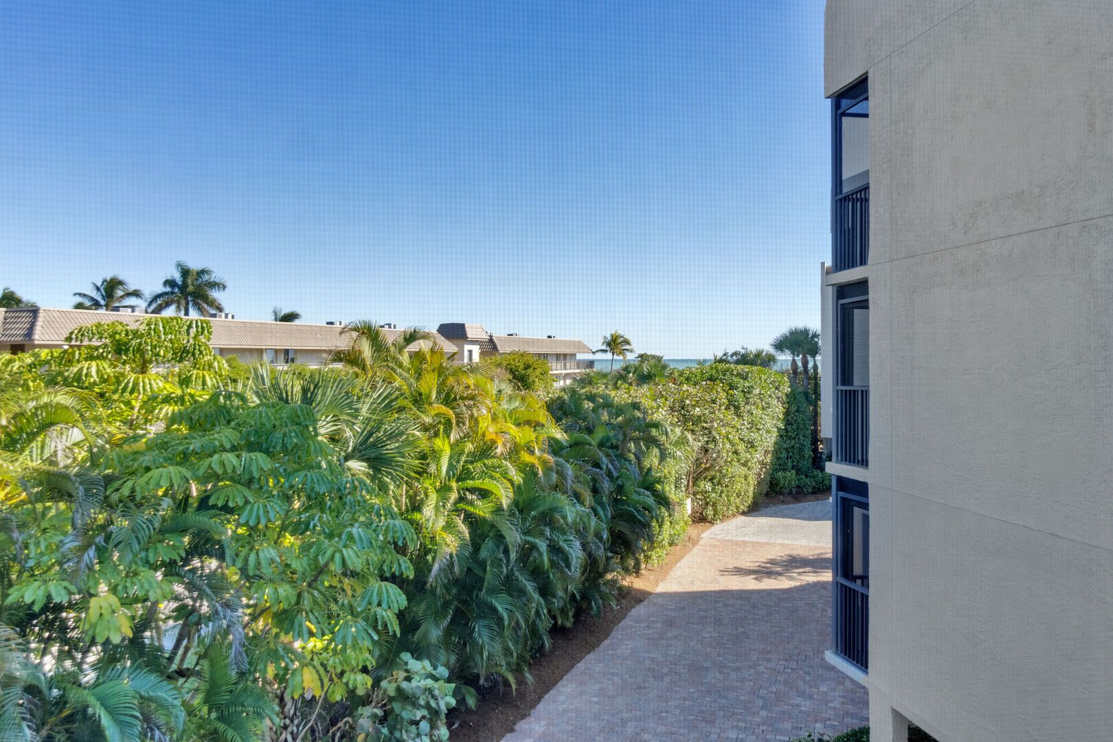 Un sendero conduce a un edificio de diseño moderno, rodeado de abundante vegetación y palmeras.
