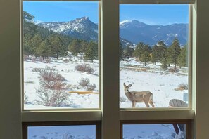Two windows with views of a snowy landscape, including a deer and mountains. - 3 Mi to RMNP! Mtn-View Retreat in Estes Park (Estes Park)