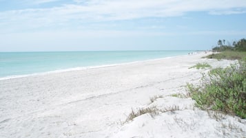 Una playa cerca