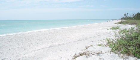 Una spiaggia nelle vicinanze