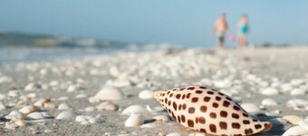 coastal chic cottage "Heron" minutes to the beach! JULY SAVINGS!