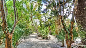 A pathway surrounded by trees and plants, leading to a central area with a bench and a small garden.