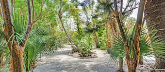 Parrot Nest Toucon Cottage.  ¡Experimente Sanibel a precios increíbles!