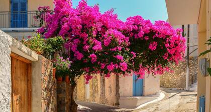 Authentique maison de village restaurée et rénovée à Kavousi en CrÚte,