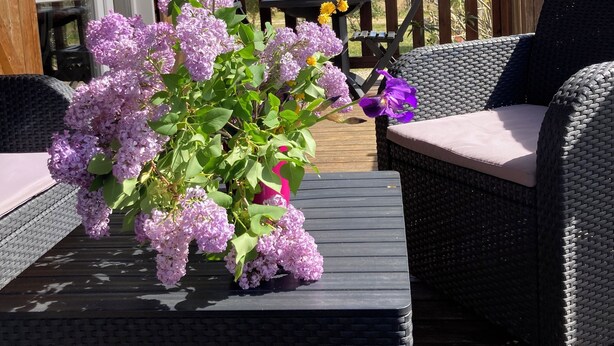 A wooden deck with wicker furniture and a potted plant of purple flowers. - Lovely chalet in Ruoms, pool, Via Ardèche, air-conditioned, 10 min from Vallon (Ruoms)