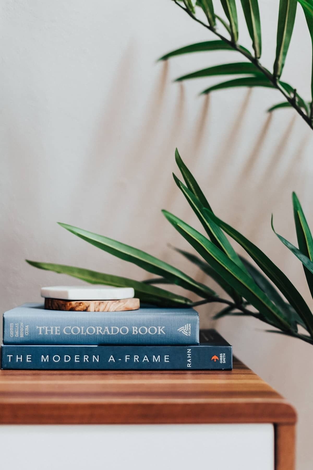 Books to enjoy on the entertainment center