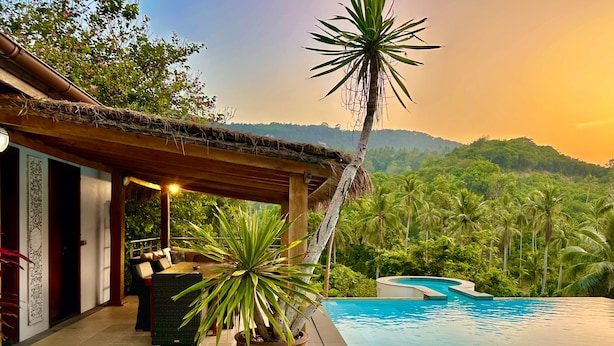 A poolside area with a thatched roof structure, a potted plant, and a view of a lush green landscape with palm trees.
