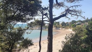 Ligstoelen aan het strand