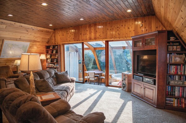 Smart TV, fireplace, DVD player, books