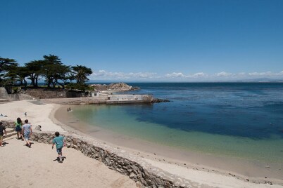 The White House - Pacific Grove Beach House - Oceanfront Lovers Point
