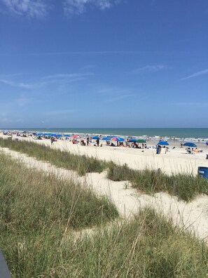 On the beach
