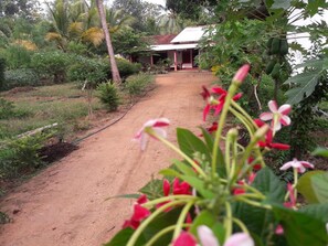 Exterior - sigiriya pikaso homestay (Sigiriya)