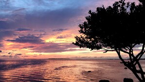 Ein Sonnenuntergang über einem Gewässer, im Vordergrund eine Baumsilhouette und Felsen.