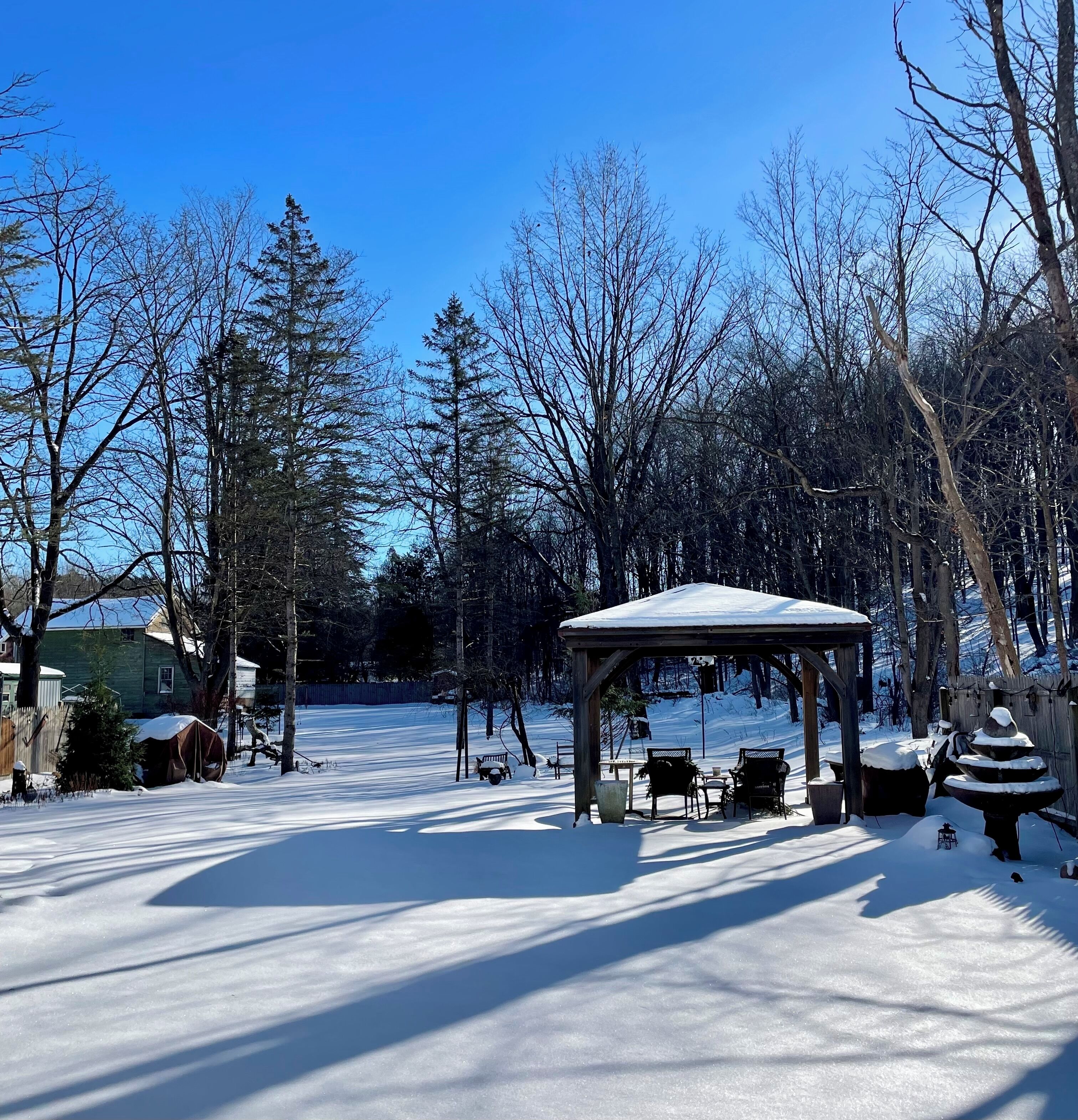 Un kiosque agrémenté de bancs, le sol recouvert de neige, entouré d’arbres sans feuilles et surplombé d’un ciel dégagé.