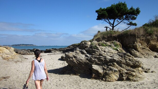 A beach with rocky terrain and a lone tree. - Charming stone cottage completely renovated in 2019 (Pleslin-Trigavou)