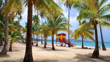 A beach with palm trees, a lifeguard tower, and clear blue water.
