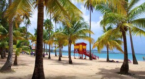 Ein Strand mit Palmen, einem Rettungsturm und klarem, blauem Wasser.