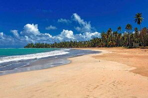 A beach with clear turquoise water, a sandy shore, and a line of palm trees under a blue sky with clouds.