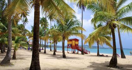 Enjoyable Getaway with Private Pool, Rainforest, Volleyball, Badminton, Soccer