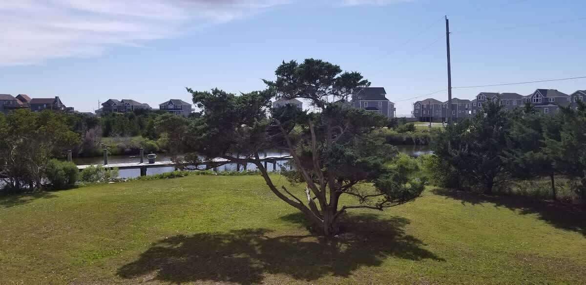 A grassy area with a single tree, a body of water, and residential buildings in the background.