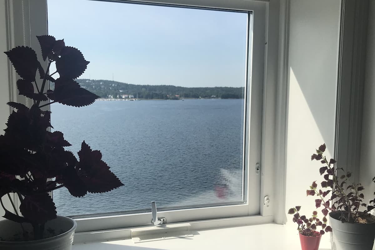 Una ventana con vistas al agua y a una costa distante. Hay dos plantas en macetas sobre el alféizar.