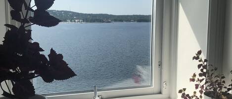 A window with a view of a body of water and a distant shoreline. There are two potted plants on the windowsill.