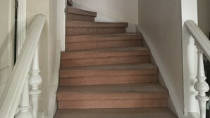 Een trap met een leuning, bekleed met tapijt, en een raam met planten.