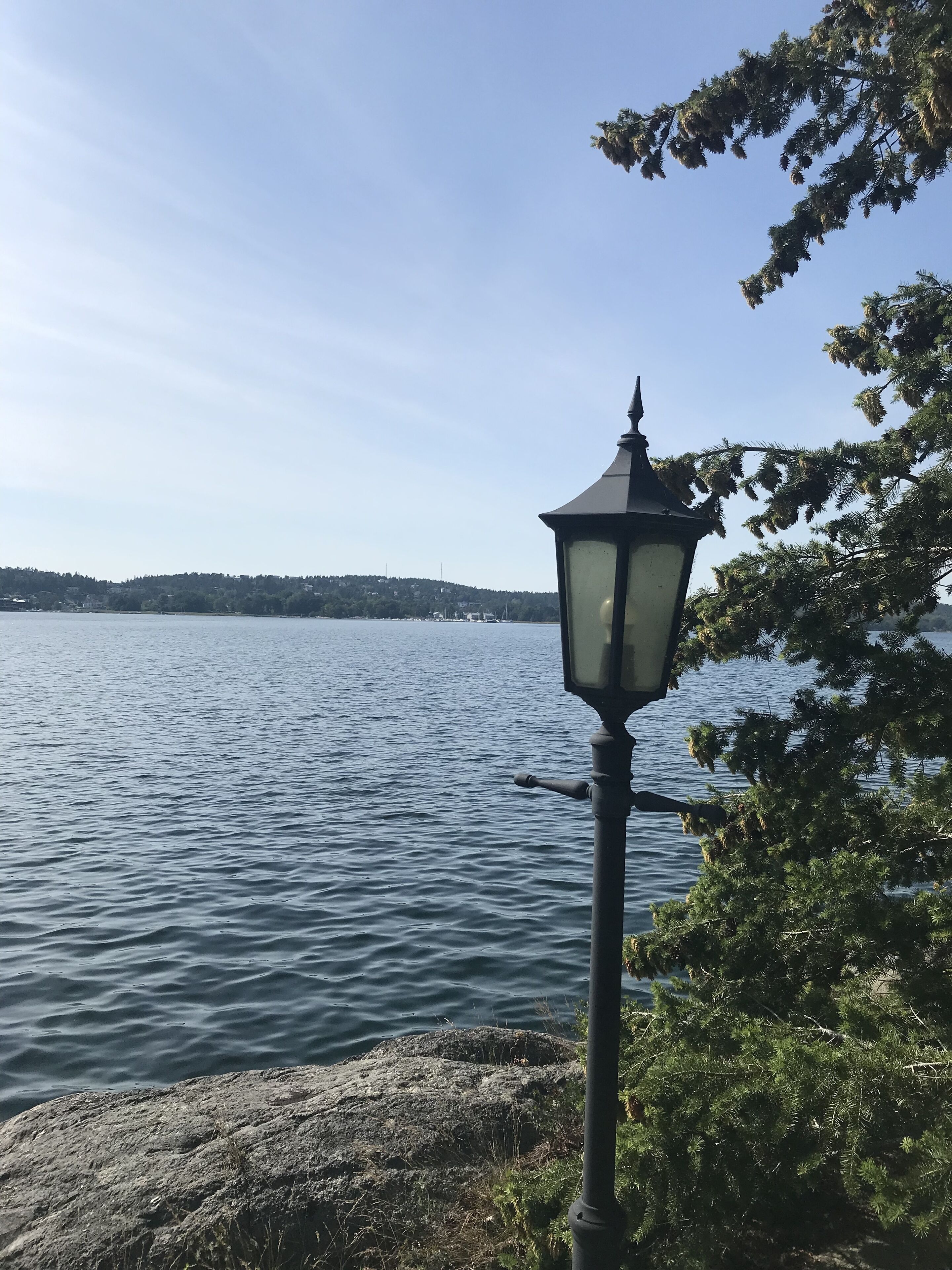 A lamp post by a lake with a clear view of the water and distant land.