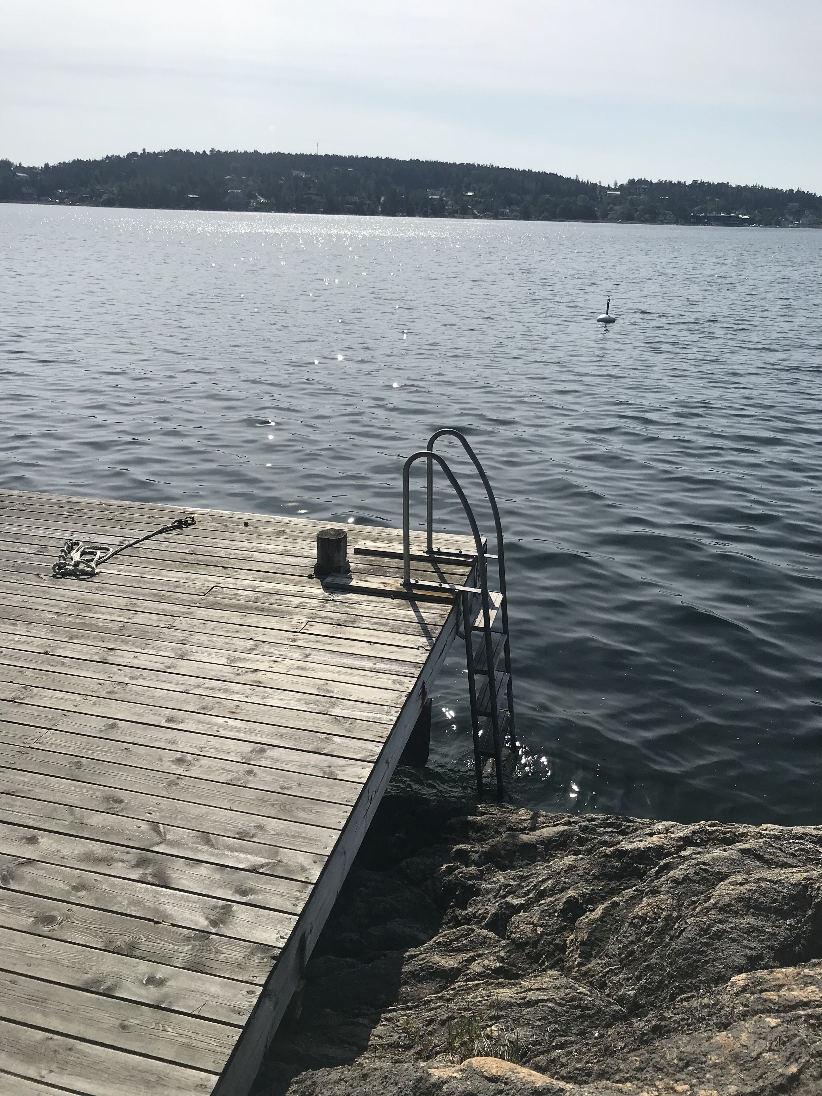 A wooden dock extending into calm water with a metal ladder leading into the water.