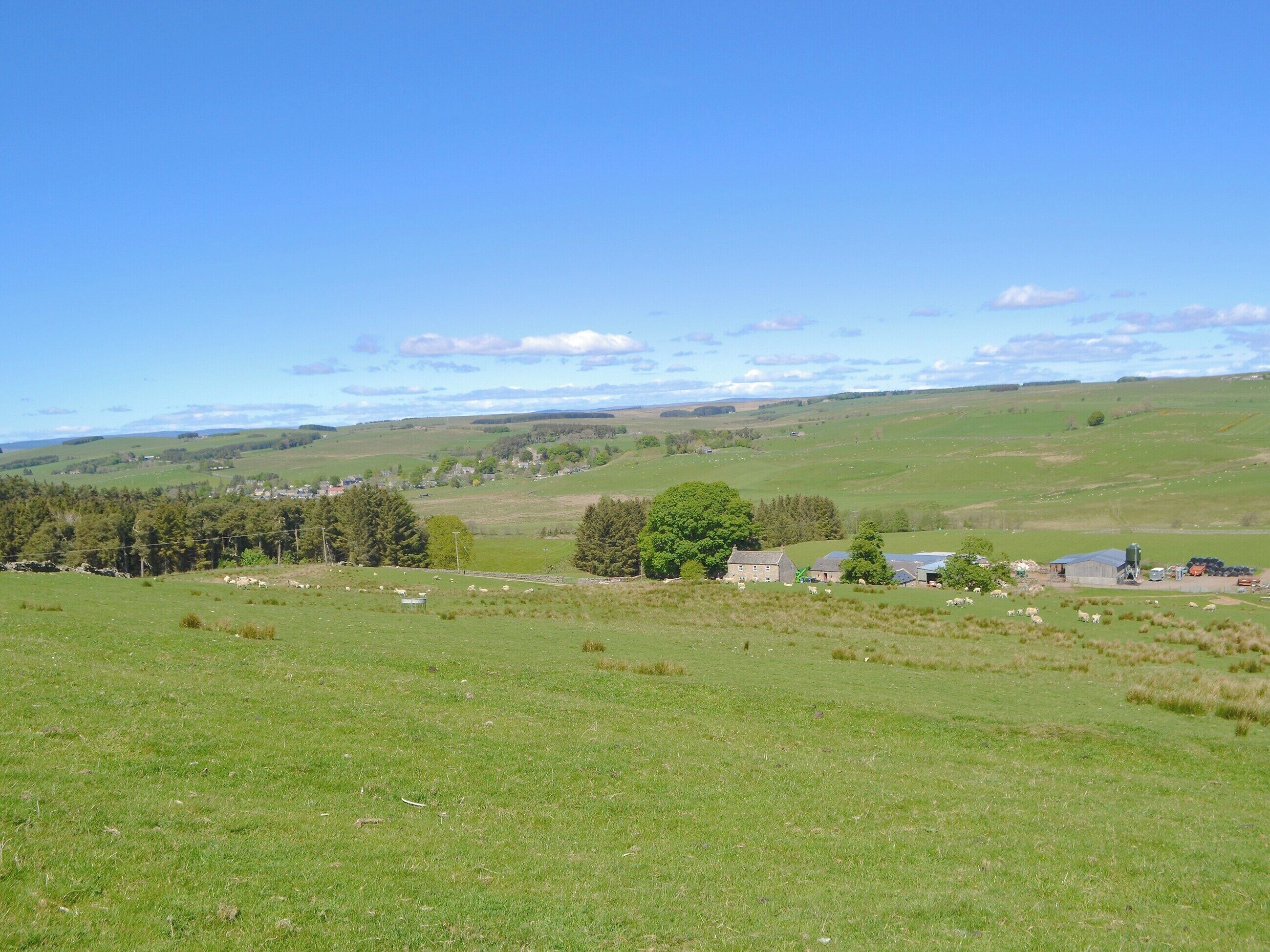 A rural landscape with rolling hills, a small cluster of buildings, and grazing sheep.