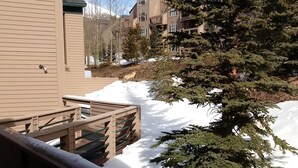 Un espacio exterior nevado con una terraza de madera, un edificio de diseño moderno y un gran árbol de hoja perenne.