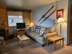 TV, fireplace, DVD player, computer monitors