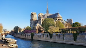 A river with a bridge and a historic cathedral. - Warm appartment in the center of historical Paris with full equipment (Paris)