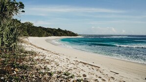 Une plage à l’eau d’un bleu limpide, bordée d’un rivage sablonneux et d’une végétation luxuriante.