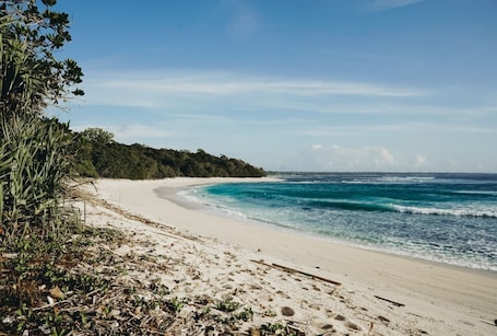 On the beach, white sand