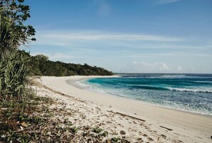 Uma praia com águas azul-claras, areal arenoso e vegetação densa.