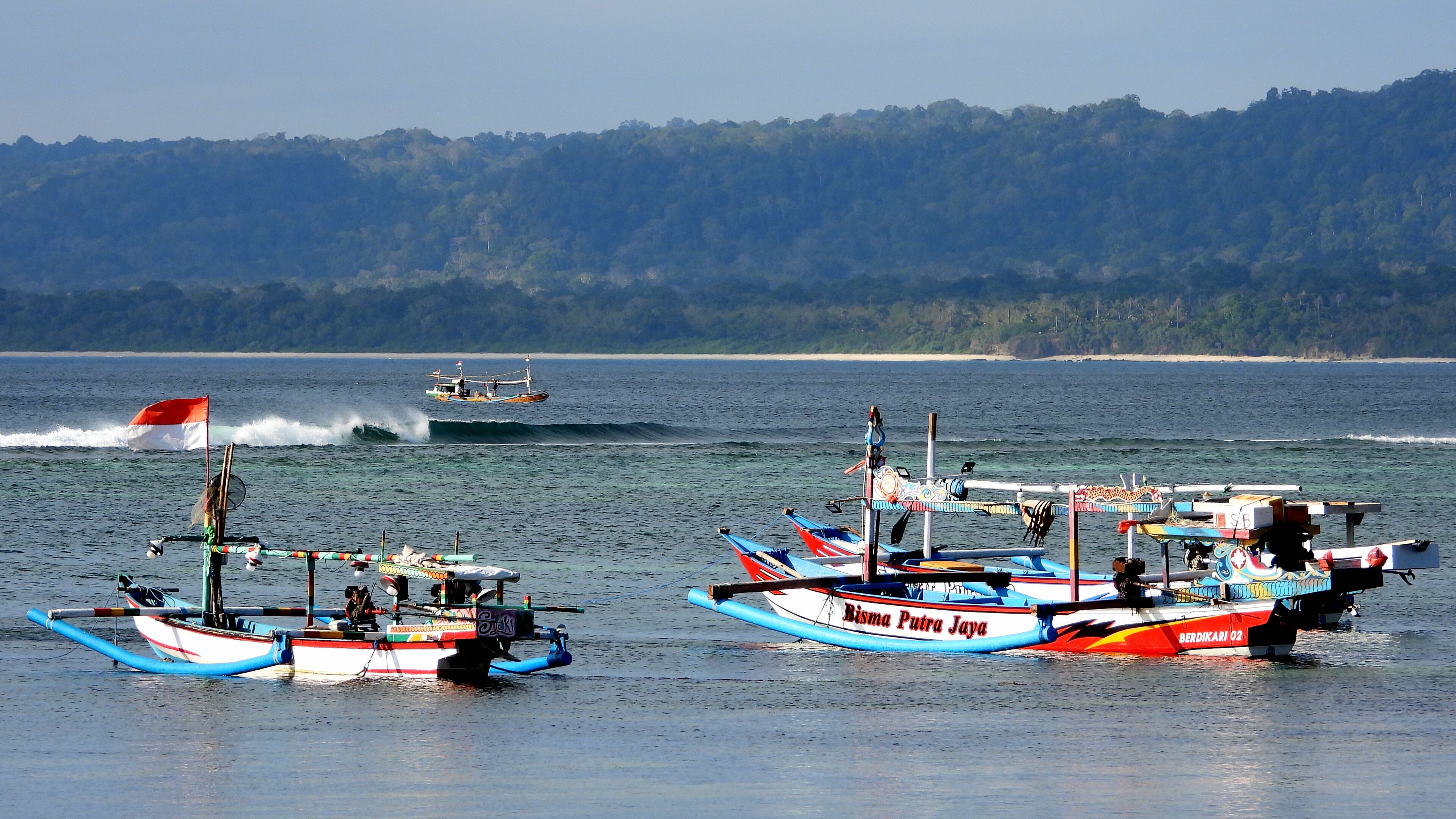 A group of traditional boats docked at a harbor with a forested coastline in the background.