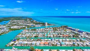 Unclassified image, 3 of 50, button