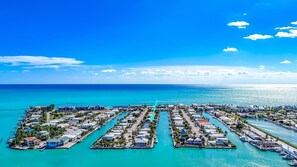 Uklassifisert bilde, 4 av 50, knapp